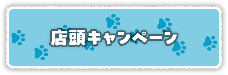 店頭キャンペーン