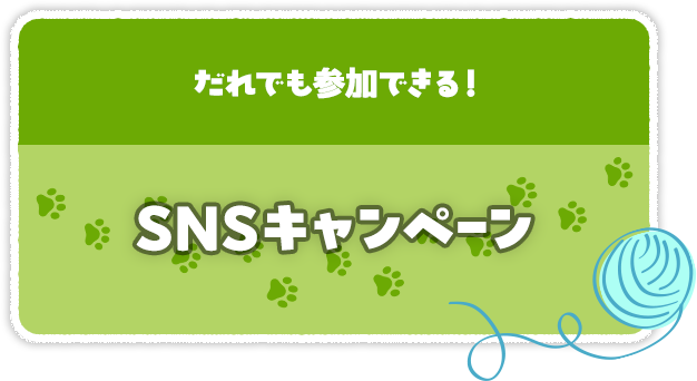 SNSキャンペーン