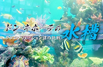 ドン・キホーテの水槽