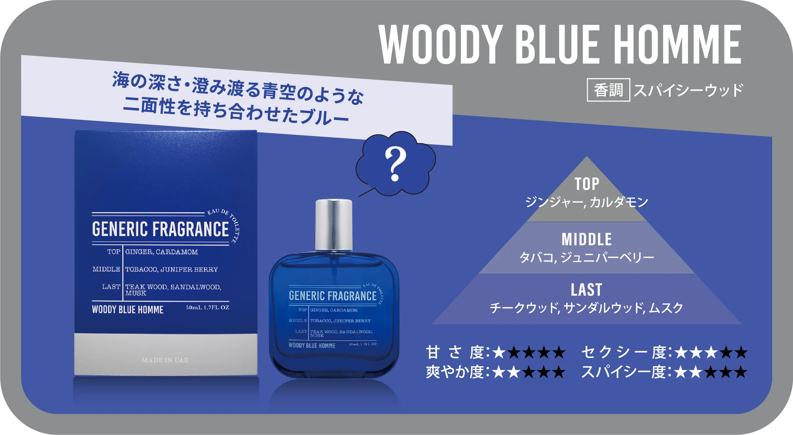 WOODY BLUE HOMME