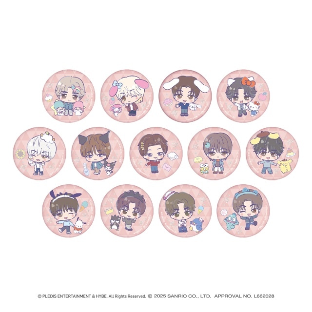 SANRIO 缶バッジ（全13種/ランダム仕様）