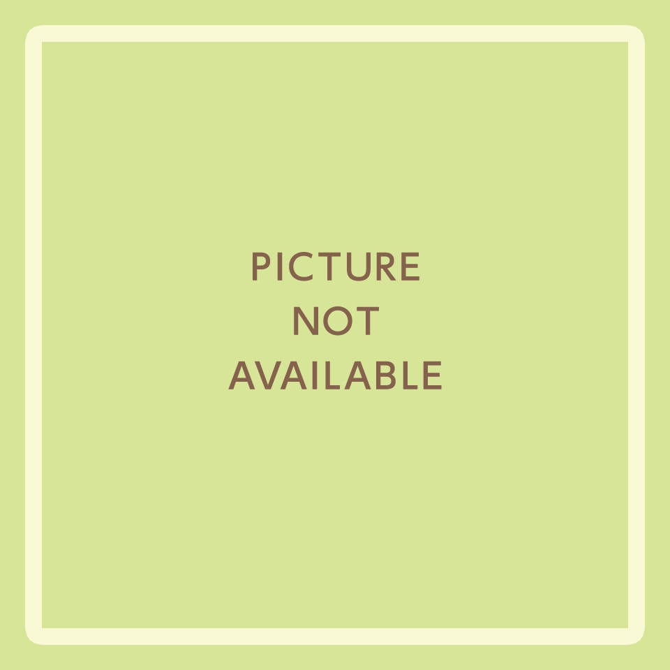 MEGAドンキ狸小路別館の店舗情報・駐車場情報