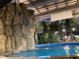 釣って見つけるぼうけんの国 豊橋店 店舗イメージ1