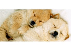 COO&RIKU 店舗イメージ1