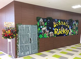 ドッグカフェRicky 店舗イメージ1