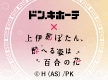 ニュースイメージ