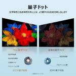 商品画像を見る