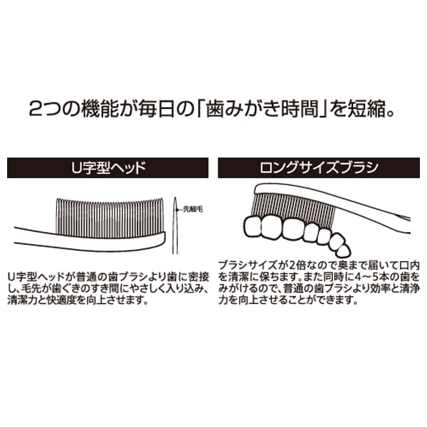 長いヘッドのタイパ歯ブラシ