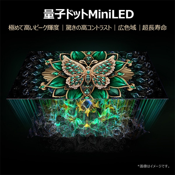 情熱価格&times;TCL miniLED 65型4K スマート液晶テレビ