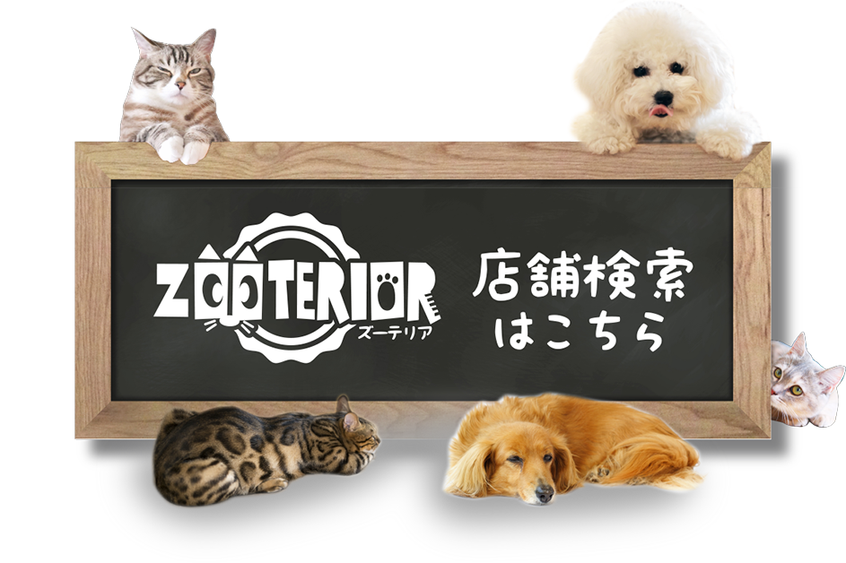 店舗検索はこちら